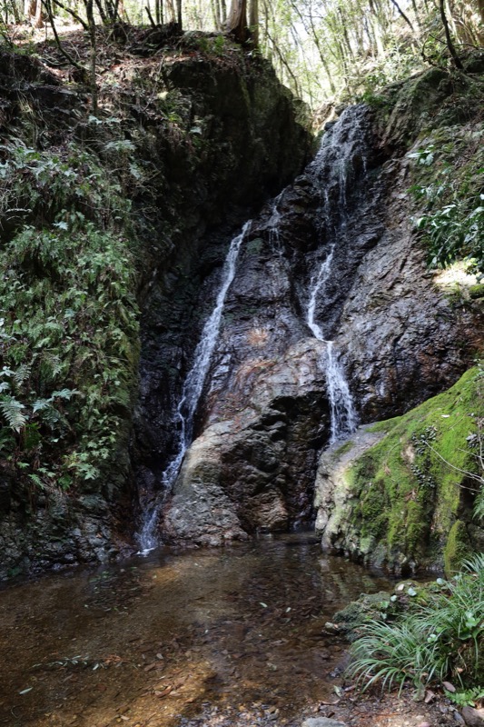 日和田山、物見山